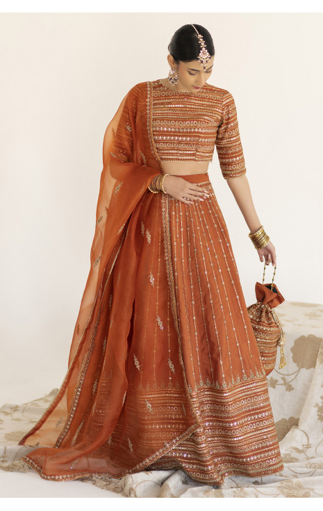 Rust Lehenga Choli